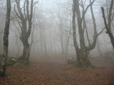 ���̖��_����